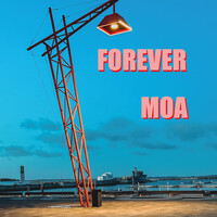 Forever Songs Download: Play & Listen Forever all MP3 Song by Mad On A ...