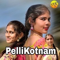 PelliKotnam