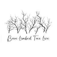 Bare-Limbed Tree (Live)