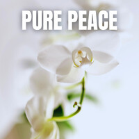 Pure Peace