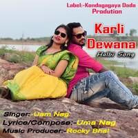 Karli Diwana Halbi Song