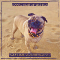 Zodiac Sign of the Dog