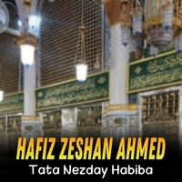 Tata Nezday Habiba