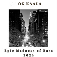 Epic Madness of Bass 2024