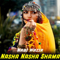 Nasha Nasha Shama