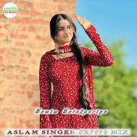 Aslam Singer Sr 7271 Mix