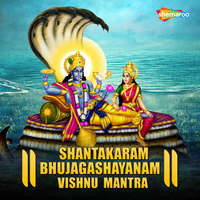 Shantakaram Bhujagashayanam Vishnu Mantra