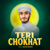 Teri Chokhat