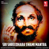 Sri Shreedhara Swami Mantra