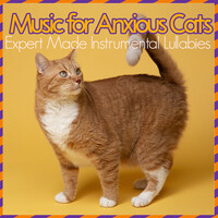Music for Anxious Cats - Expert Made Instrumental Lullabies