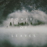 The Power of Leaves