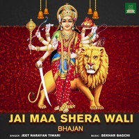 Jai Maa Shera Wali Bhajan