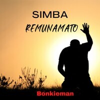 Simba Remunamato