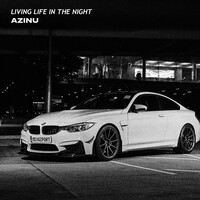 Living Life, in the Night