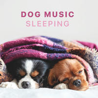 Music for dogs 2024 to fall asleep