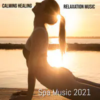 Calming Healing Relaxation Music