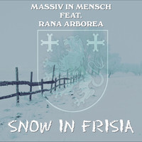 Snow in Frisia