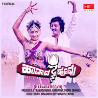 HAAVADA HOOVU (Original Motion Picture Soundtrack)