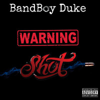 Warning Shot