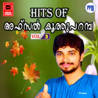 Hits Of Afsal Koothuparambu Vol 3