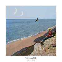 Voyage