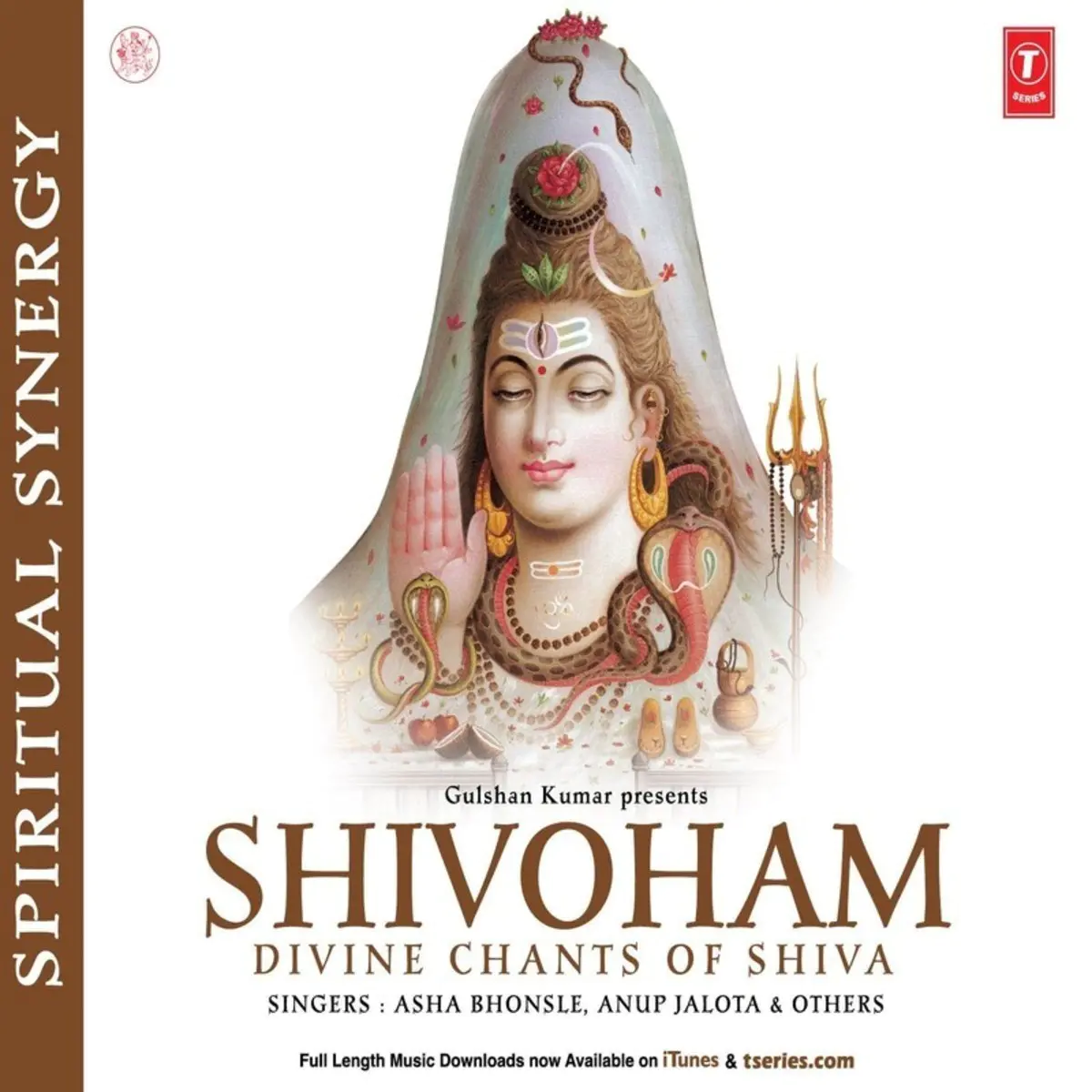 Shiv Vandana Mp3 Song Download Shivoham Divine Chants Of Shiva