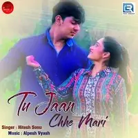 Tu Jaan Chhe Mari