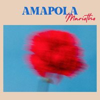 Amapola