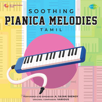 Soothing Pianica Melodies