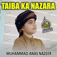 Taiba Ka Nazara