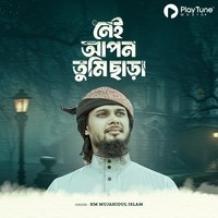 নেই আপন তুমি ছাড়া