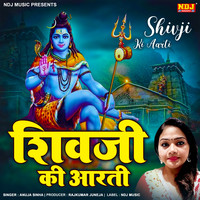 Shiv Ji Ki Aarti Song Download: Play & Listen Shiv Ji Ki Aarti all MP3 ...