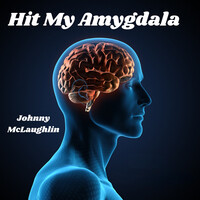 Hit My Amygdala