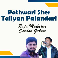 Pothwari Sher Taliyan Palandari