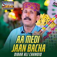 Aa Medi Jaan Bacha