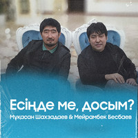 Есіңде ме, досым?