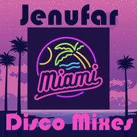 Miami Disco Mixes