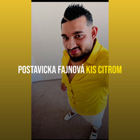 Postavicka Fajnová