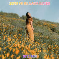 Zena Mi Ne Saka Blues