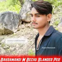 Bakramandi M Bechu Blander Per