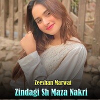 Zindagi Sh Maza Nakri