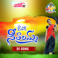 Pillo Seethalamma Dj Songs (Dj Songs)