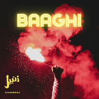 Baaghi