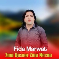 Zma Qasoor Zma Meena