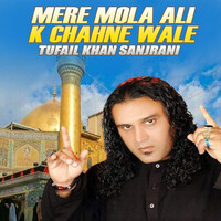 Mere Mola Ali K Chahne Wale