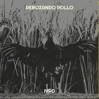 Rebozando Pollo