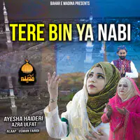 Tere Bin Ya Nabi