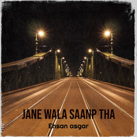 Jane Wala Saanp Tha