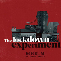 The Lockdown Experiment