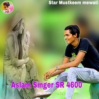 Aslam Singer SR 4600